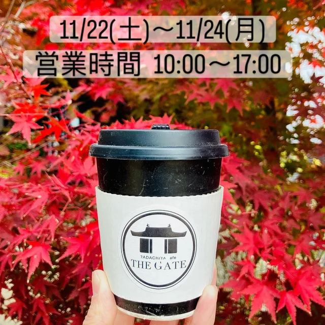 《営業時間のお知らせ》  こんにちは☀️
良いお天気ですね！！
3連休中は通常より1時間延長して営業いたします💪✨  【営業時間】
11/22(土)〜11/24(月)  10:00〜17:00  お近くにお立ち寄りの際はぜひご利用ください♪
皆さまのご来店、お待ちしております🍀  ≡≡≡≡≡ ■ ■ ■ ■ ■ ■ ■  ［TADACHIYA cafe THE GATE］  通常営業時間 : 11:00〜17:00
定休日 : 毎週水曜日
　　　　年末年始  #THEGATE #カフェ #長野県
#松本市 #大手 #三の丸  #チュロス #松本城 #大手門  #Churro #cafe #coffee #コーヒー  #サンデー #ソフトクリーム #チュロスサンデー #NAGANO #Matsumoto 
#テイクアウト
#四柱神社お隣り
#営業時間